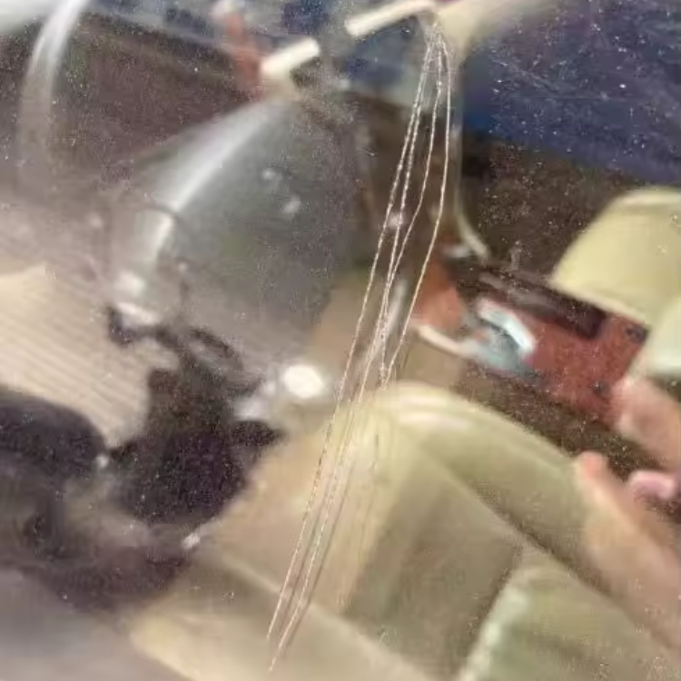 GlassGuards™ x Ray Hong Scratch Removal Wax